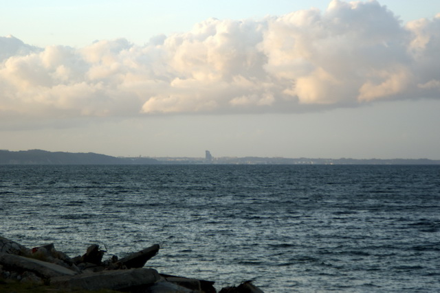 DSC06463