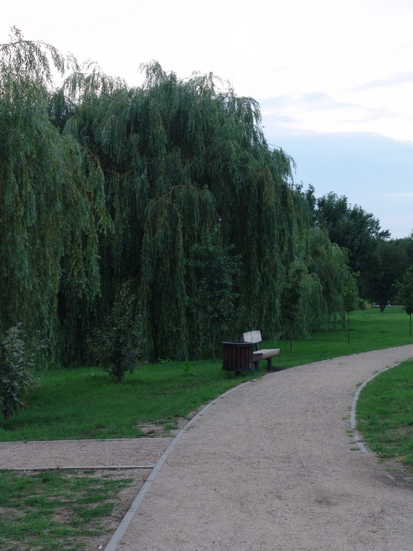 DSC00047