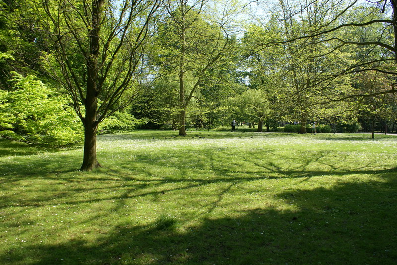 DSC00274