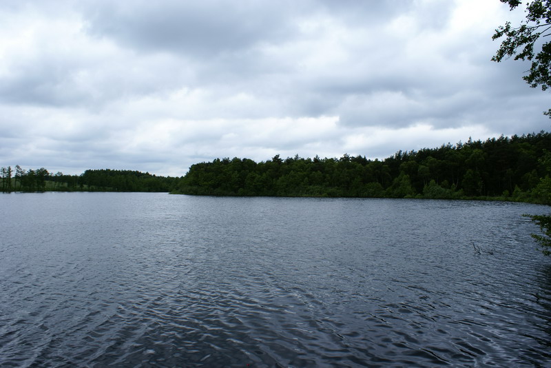 DSC00385