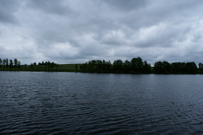 DSC00386
