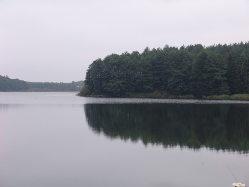 DSC00388