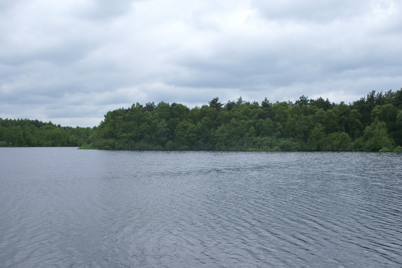 DSC00393