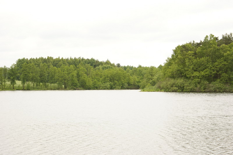 DSC00401