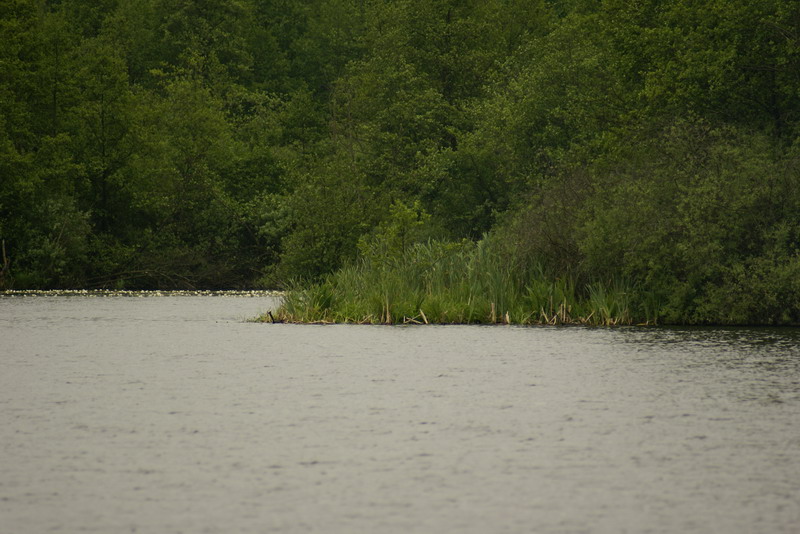 DSC00403