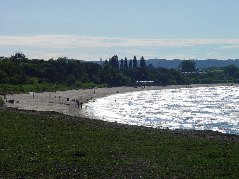 DSC00668