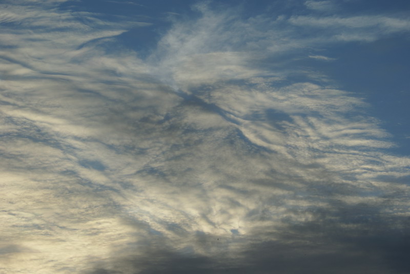 DSC00811