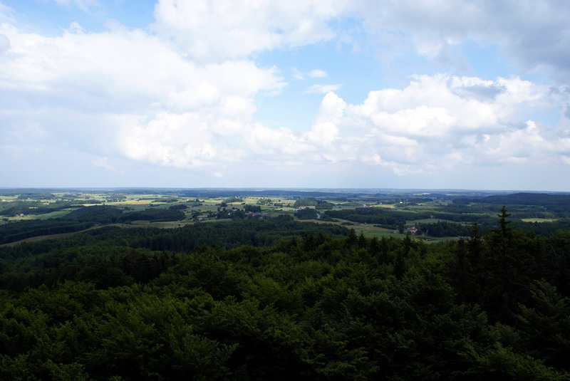 DSC00848