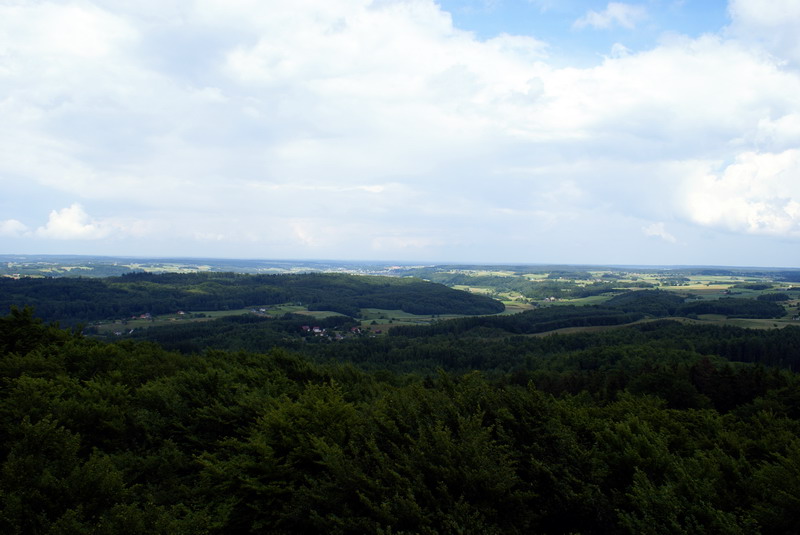 DSC00849
