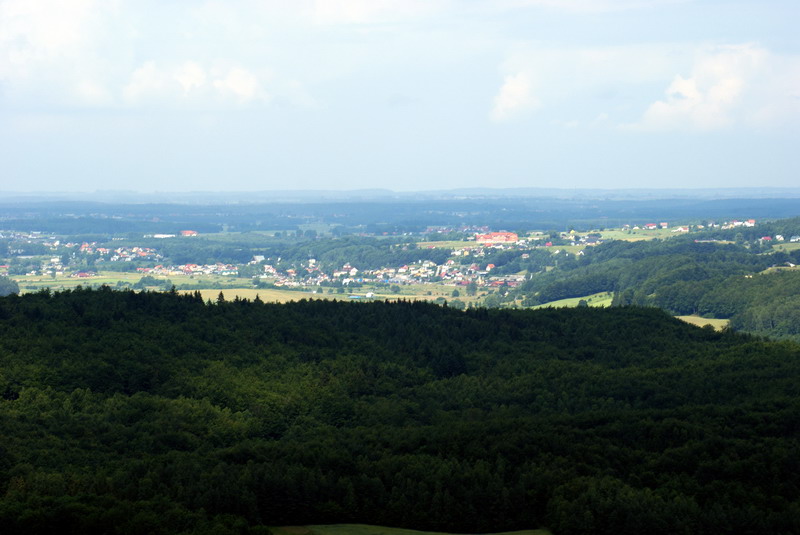 DSC00866