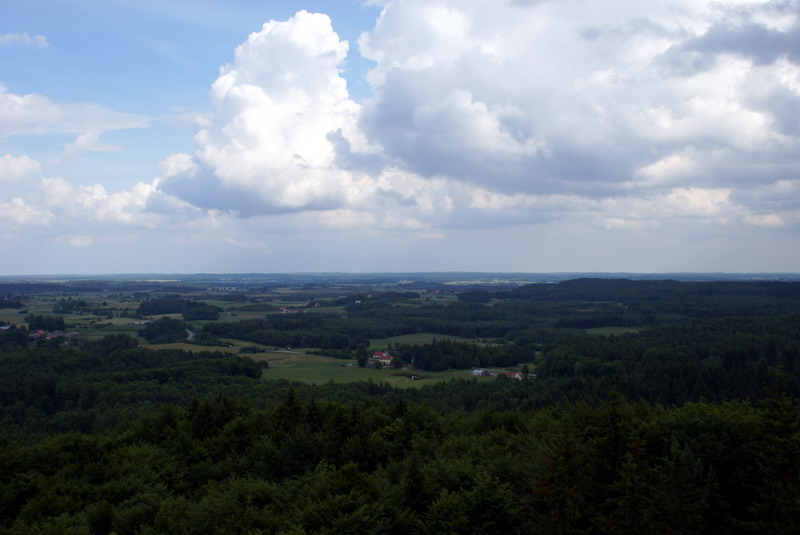 DSC00883
