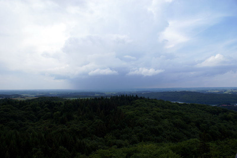 DSC00887