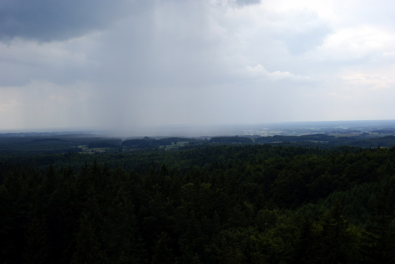 DSC00891