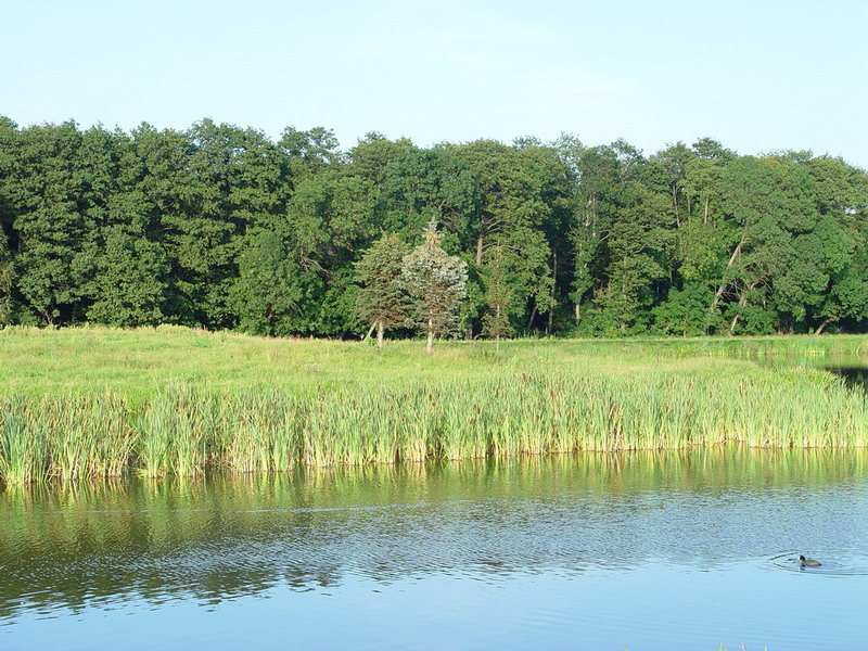 DSC01535