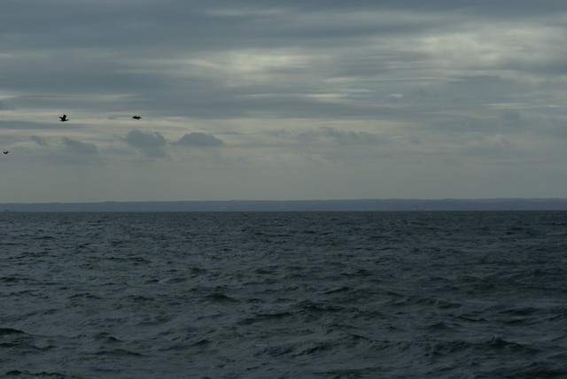 DSC01669
