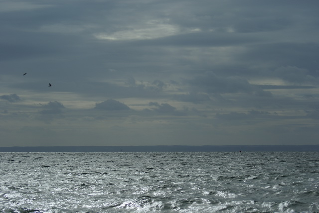 DSC01676