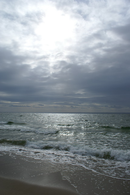 DSC01684