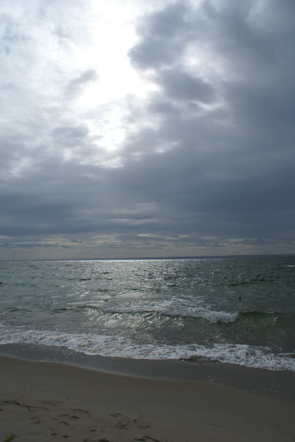 DSC01685