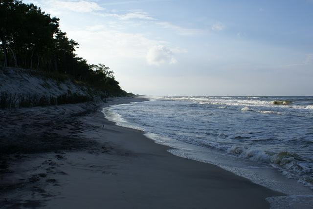 DSC01721