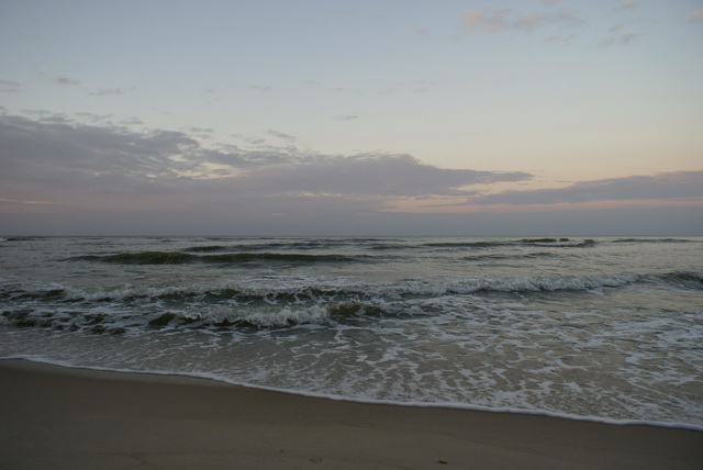 DSC01773