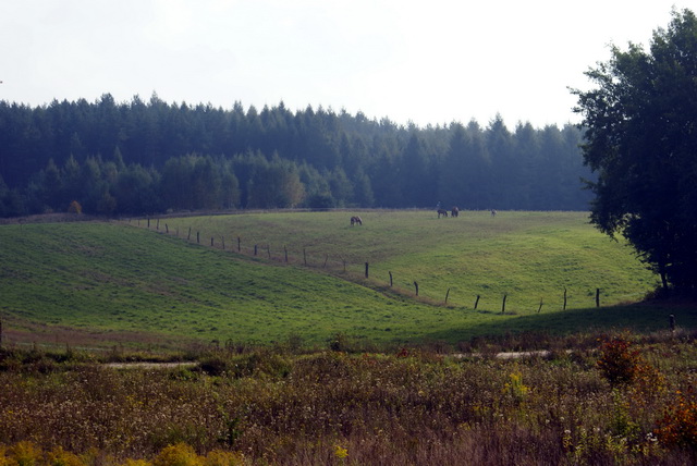 DSC01782