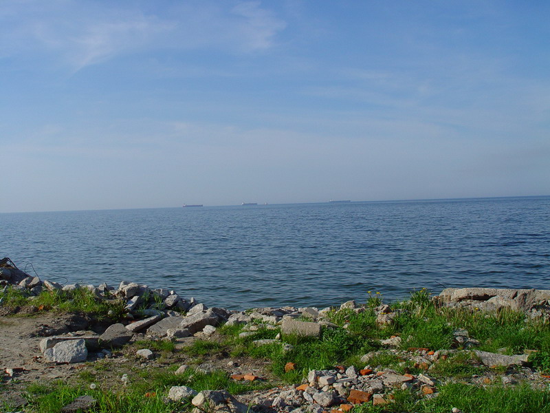 DSC01813