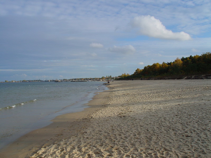 DSC02157
