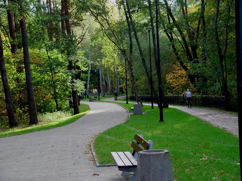 DSC02175
