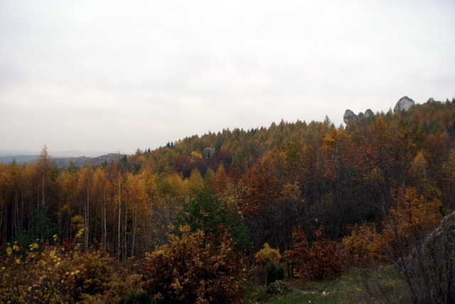 DSC02296