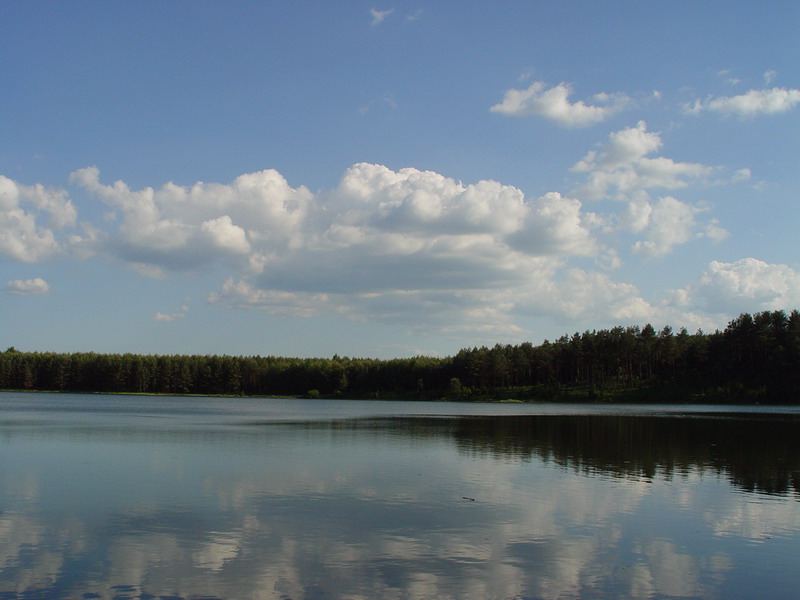 DSC02445