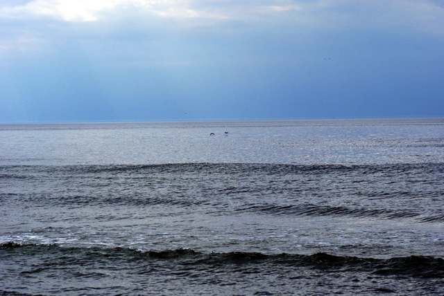 DSC04935